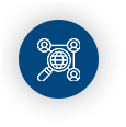 Audit & Consulting